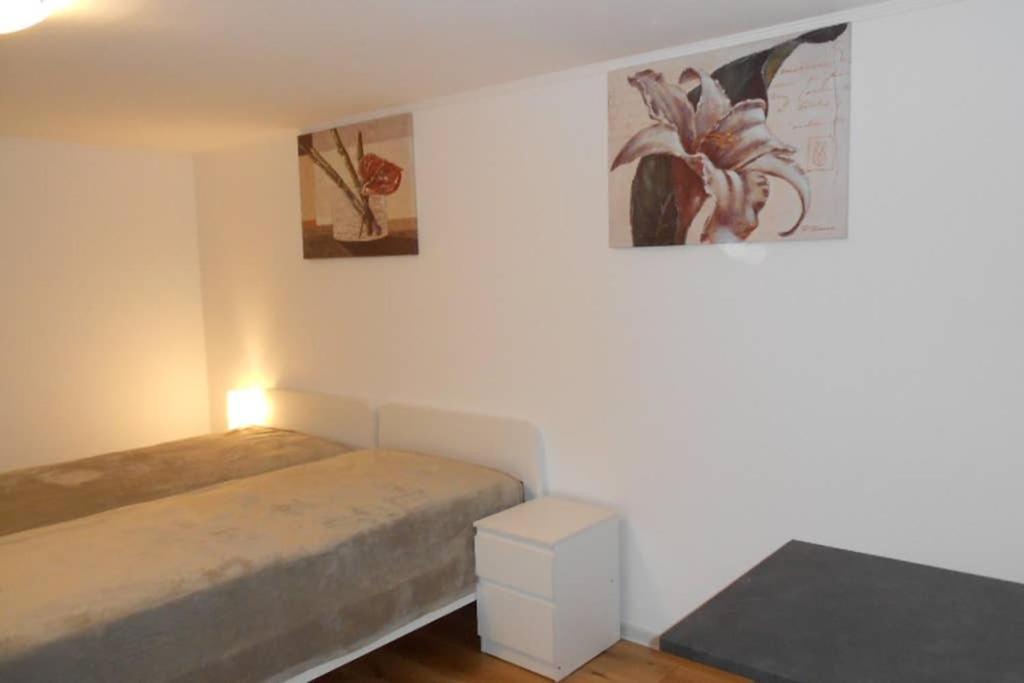 Zimmer In Direkter Naehe Zu Basel Grenzach-Wyhlen Exteriér fotografie